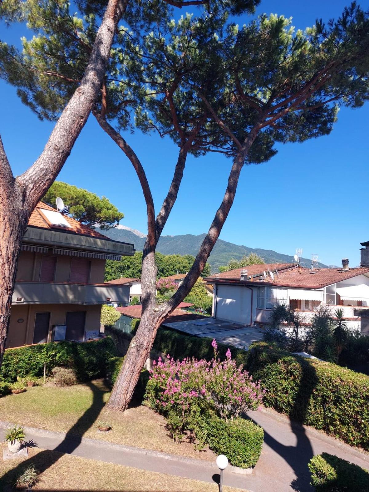 Appartamento Al Mare Di Liguria E Toscana Marina di Massa Exterior photo